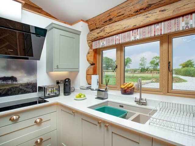 Kitchen area | Frankaborough Lodge - Frankaborough, Lifton