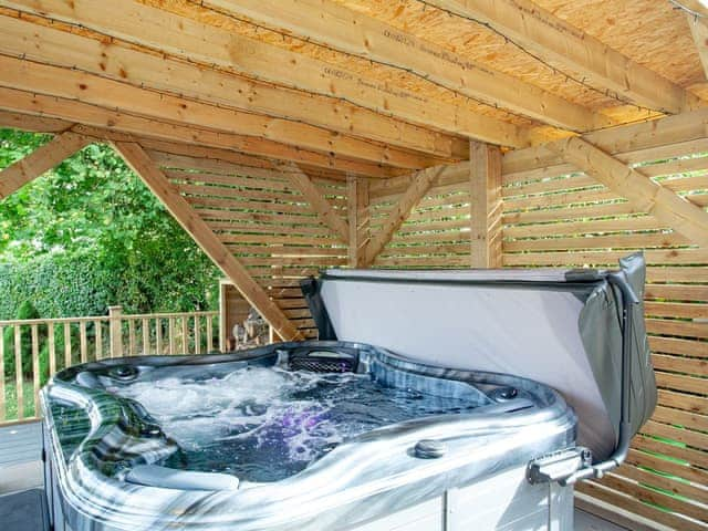 Hot tub | Frankaborough Lodge - Frankaborough, Lifton