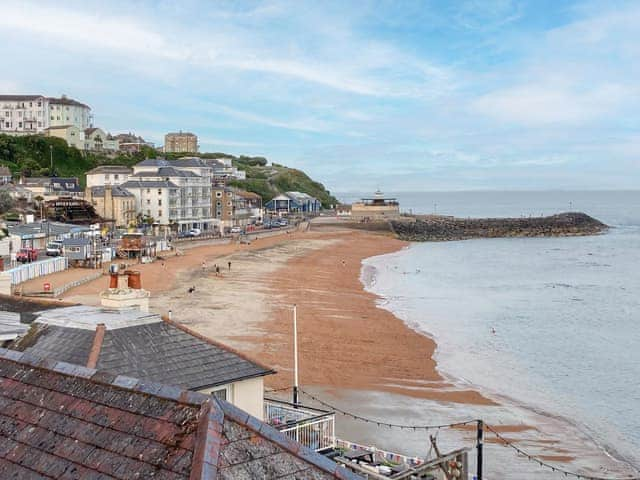 Ventnor beach | Seashells, Ventnor