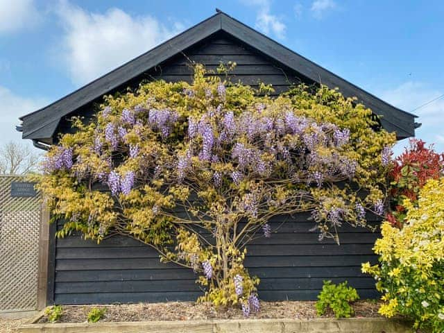 Exterior | Wisteria Lodge - Roydon Retreats, Roydon, near Diss