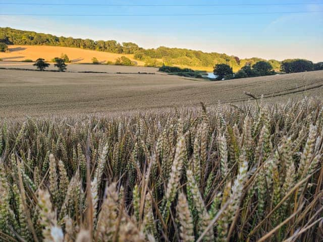 Surrounding area | Hayfield Haven, Lakeview Lodge - Hill Croft Farm Pod, Crowhurst