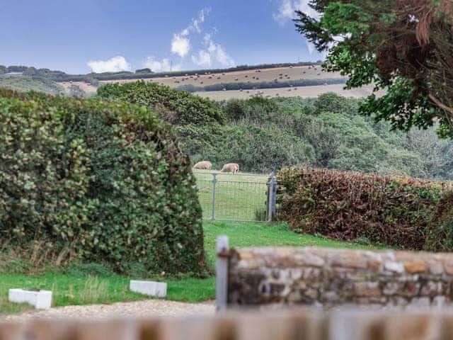 View | Fig Tree Cottage, Pancrasweek, near Bude