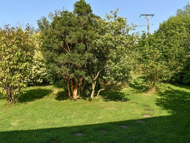 Garden | Madison, Crackington Haven, near Bude