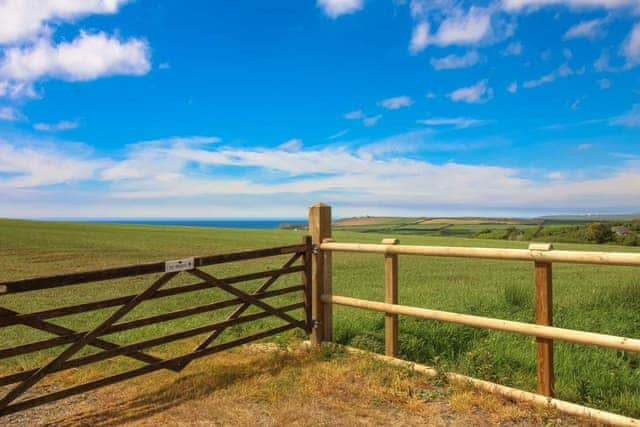 Mucklow Cottage - Roost Mucklow Squire Cottages, Widemouth Bay