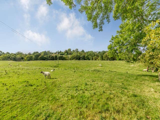 Surrounding area | Barn on the Wall, Carlisle