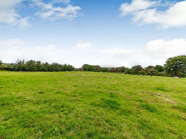 Garden and grounds | Peel Castle - Garth House - Garth House , Carlisle