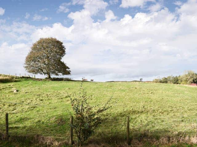 View | Crag Barn - Greenah Cragg, Matterdale End