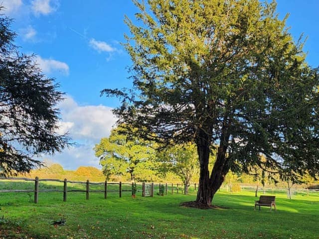 Garden and grounds | Sybs Farm Shepherds Hut, Haslemere