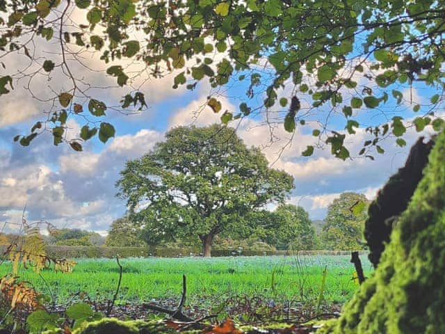 Surrounding area | Sybs Farm Shepherds Hut, Haslemere