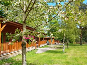 Exterior | Birch Studio - Marcassie Farm Lodges, Forres