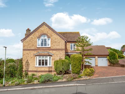 Exterior | Squirrels, Teignmouth