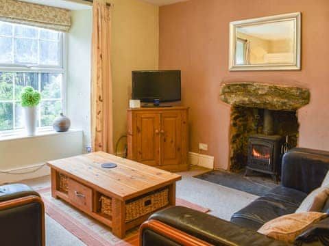 Living room | Sygyn - Red Dragon Cottages, Beddgelert