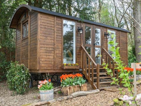 Exterior | Sybs Farm Shepherds Hut, Haslemere