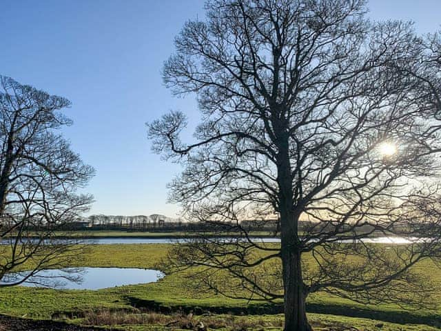 Setting | Solway Marsh View - Castletown Estate, Rockcliffe