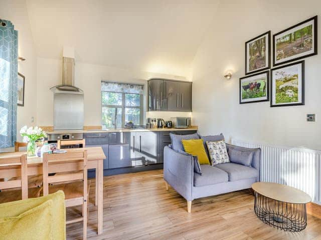 Open plan living space | Beech Lodge - Mendip Lodges, Blagdon, near Cheddar