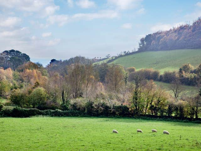 Garden | Wheelwright Cottage, Branscombe