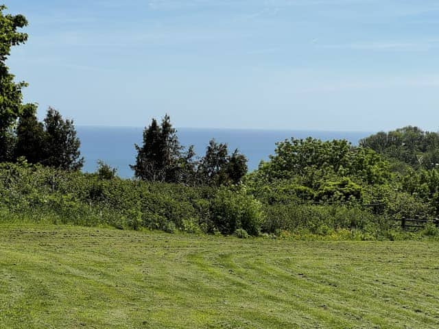 Surrounding area | Wonkey Donkey Cottage, Weston, near Sidmouth