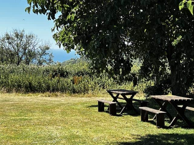 Surrounding area | Wonkey Donkey Cottage, Weston, near Sidmouth