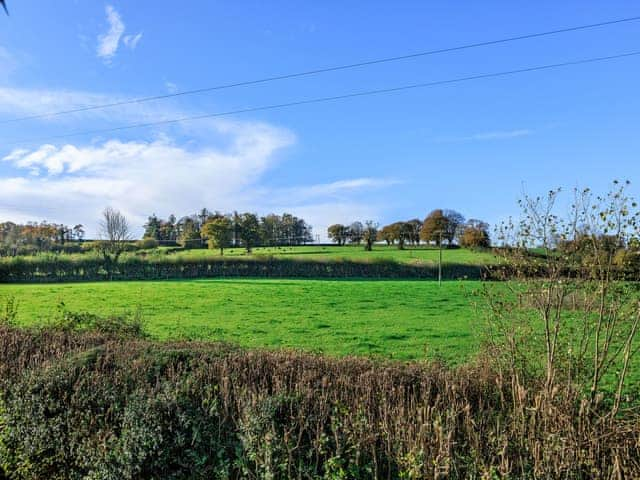 Surrounding area | The Moat House, Cudworth, near Ilminster