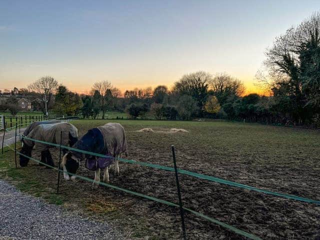 Surrounding area | South Downs Lodge, Soberton 