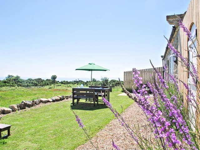 Garden | Lantern Cottage, Ravenscar, near Whitby