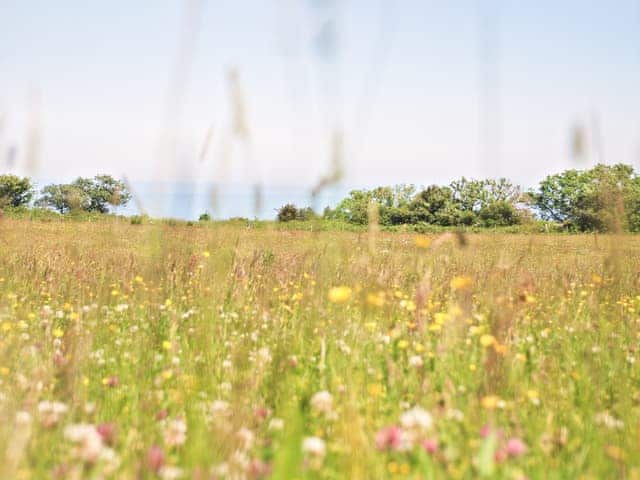 Surrounding area | Lantern Cottage, Ravenscar, near Whitby