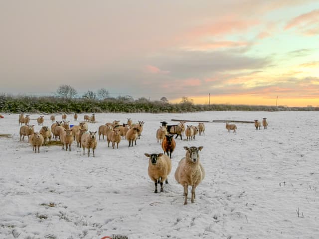 Winter walk in the village | Willowfield Cottage, Thornton-Le-Dale