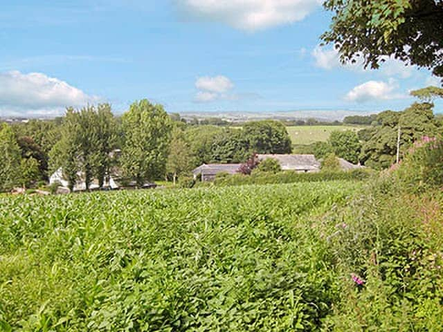 Garden and grounds | Dove Cottage, Trehingsta, near Callington