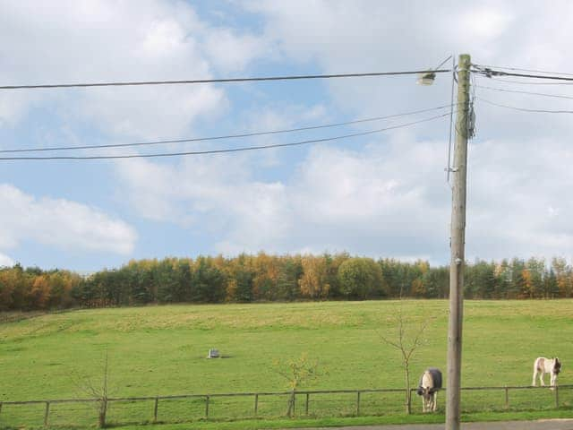 View | Colliery Cottage, Cornsay Colliery, near Durham