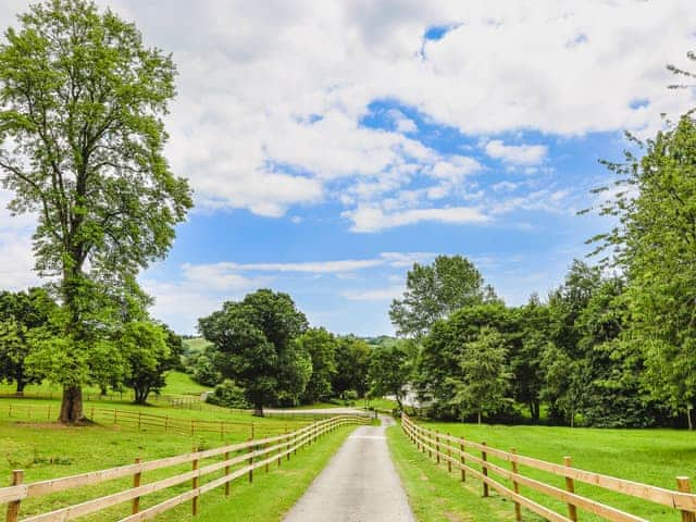 Driveway | Canonteign Cottage, Christow