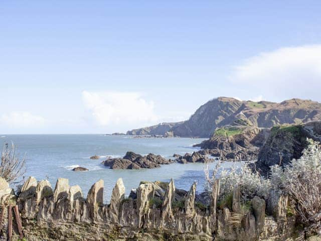 Surrounding area | Seagrass, Ilfracombe