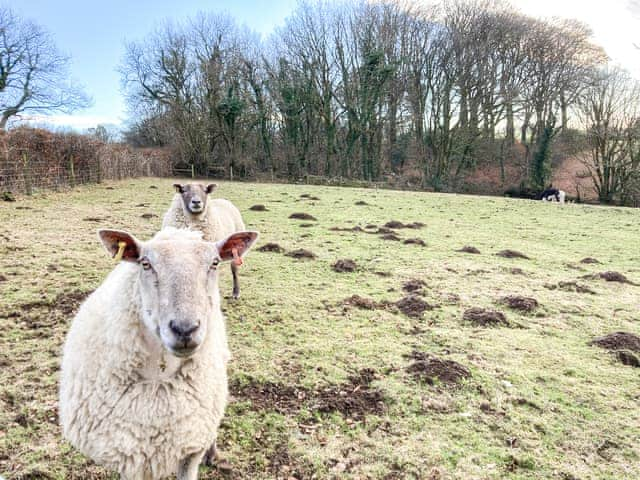 Setting | The Farmers Den, Lydford, near Okehampton