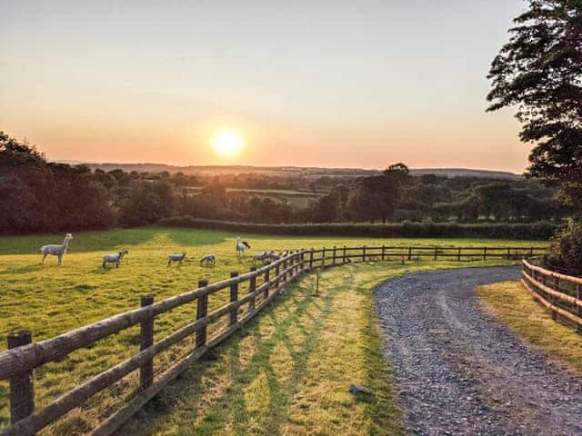 Setting | The Farmers Den, Lydford, near Okehampton