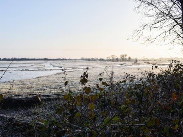 Garden and grounds | Sheep&rsquo;s View Cottage, Eastbourne