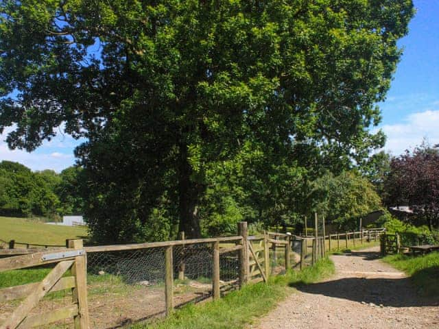 Surrounding area | Collacott Farm, Kings Nympton, near South Molton