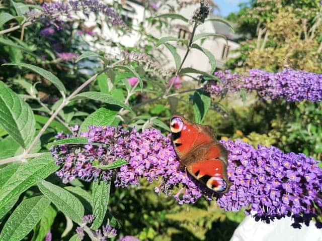 Beautiful country garden | Angle Tarn Cottage, Ambleside