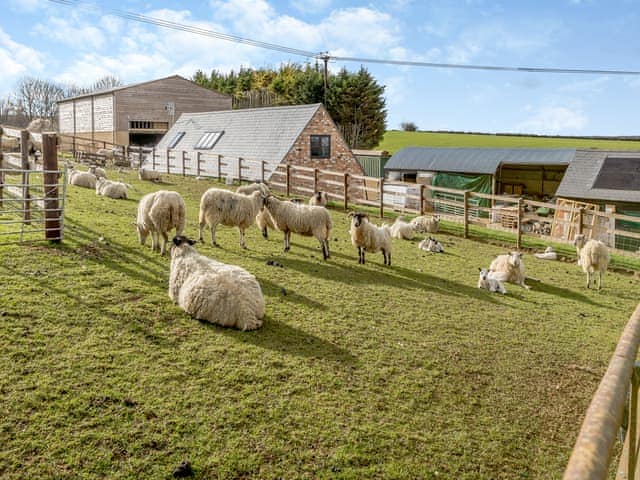 Garden and grounds | The Farm House - Quarry Hill Farm, Shipton-Under-Wychwood