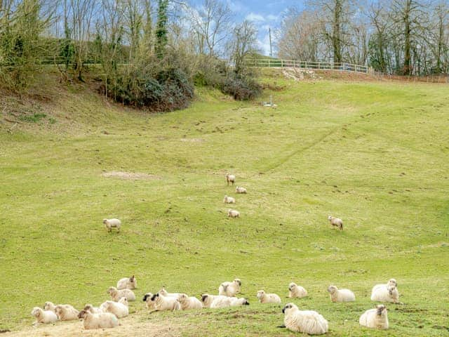 Surrounding area | Dairy Cottage - Hole Farm, Alderbury, near Salisbury