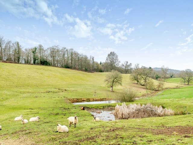 Surrounding area | Dairy Cottage - Hole Farm, Alderbury, near Salisbury