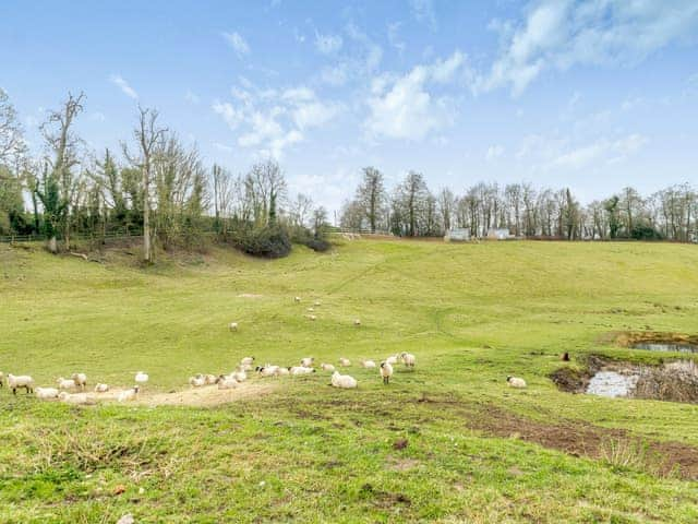 Surrounding area | Dairy Cottage - Hole Farm, Alderbury, near Salisbury