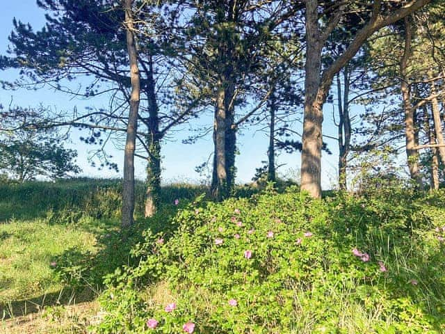 Beach access | Sea Holly, Humberston, near Louth