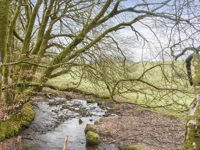 Garden | Chy An Dour, Camelford