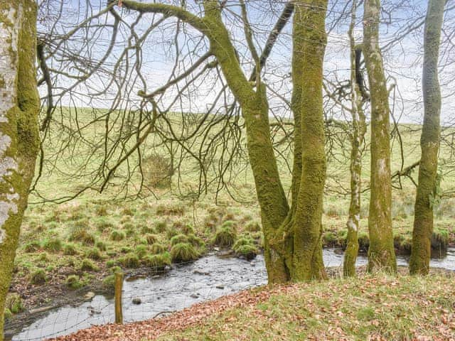 Garden | Chy An Dour, Camelford