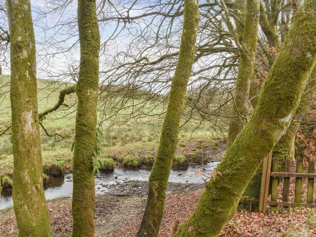 Garden | Chy An Dour, Camelford