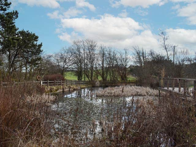 Surrounding area | Lowena, Davidstow, near Camelford