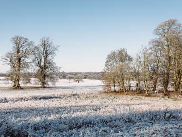 View | Cleugh Foot, Netherby