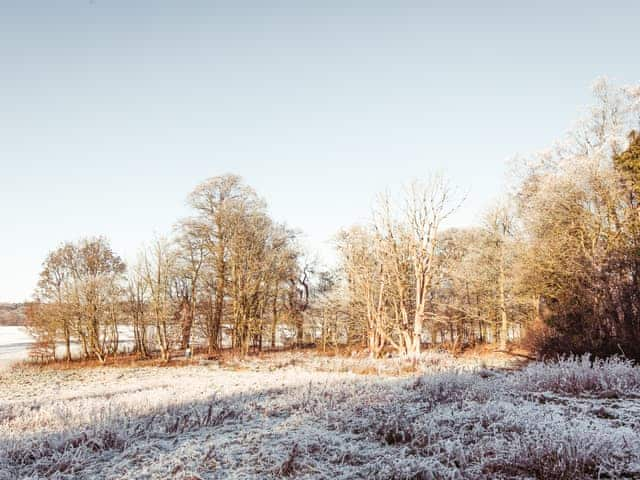 View | Cleugh Foot, Netherby