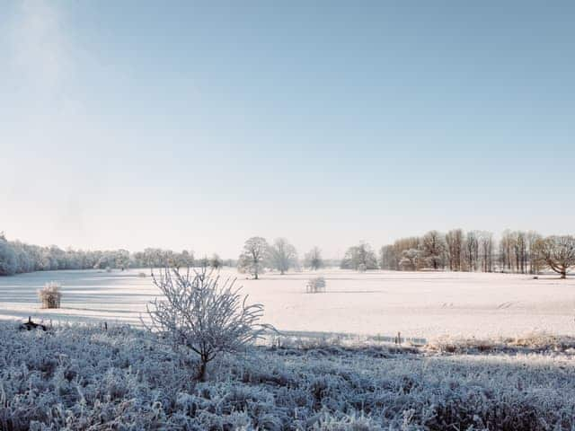 View | Cleugh Foot, Netherby