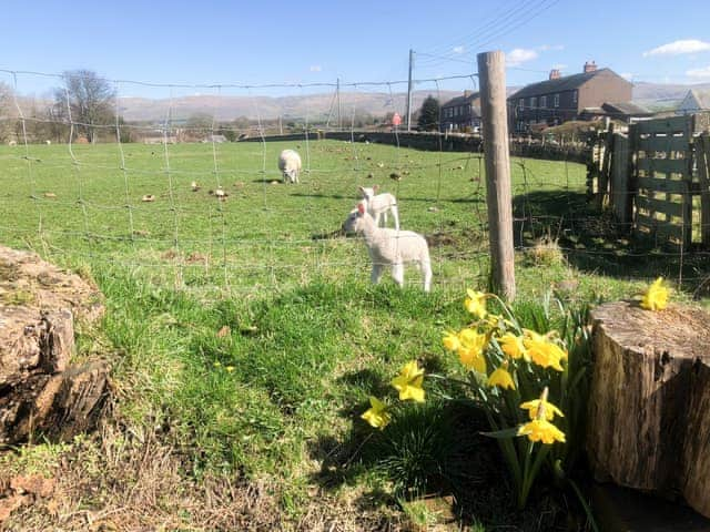 View | Mirfield, Kirkby Thore in the Eden Valley, Cumbria