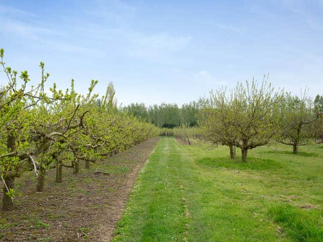 Surrounding area | The Oast - Santon Farm Cottages, Preston, near Canterbury